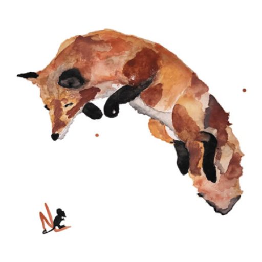 Jumping Fox -Unframed Portrait