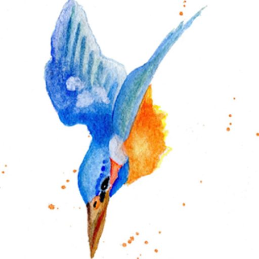 Kingfisher - Unframed Portrait